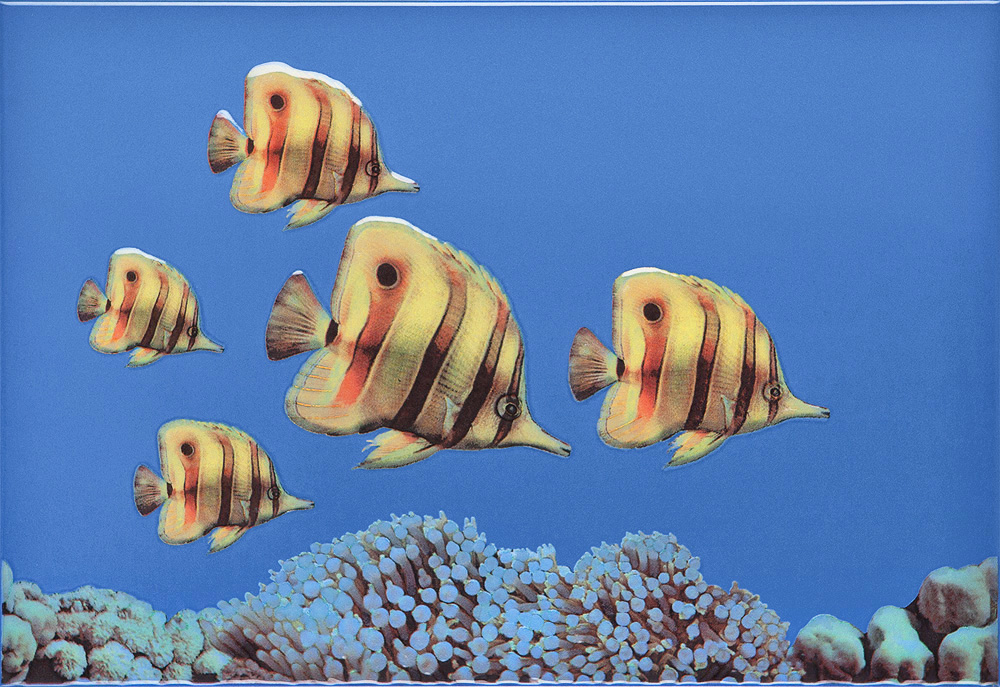 Плитка Декор Monocolor Fish 3 27.5x40